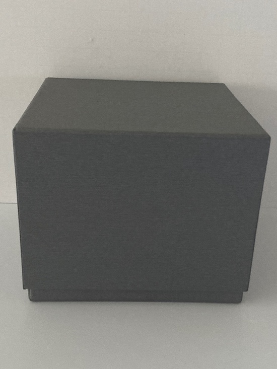Michele Gray Watch Box/Cushion/Polishing Cloth/Manual/Warranty Card/NEVER USED!! main image 7